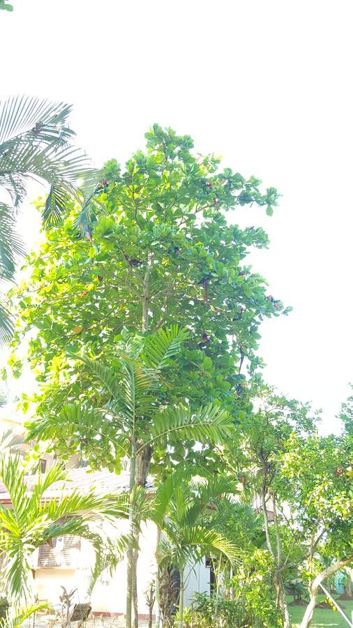 Hotel Sandpiper ฆาโก ภายนอก รูปภาพ